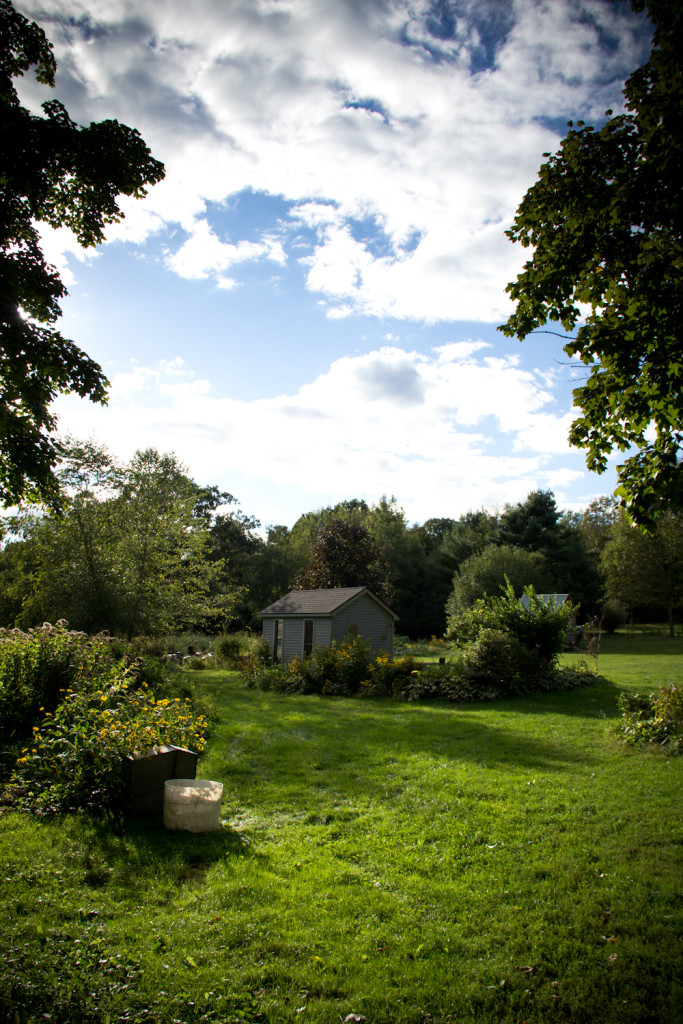 North Plain Farm, Great Barrington (Credit: Alexander Boll)