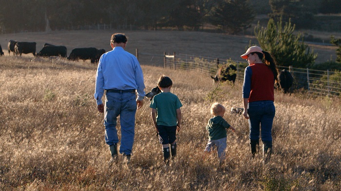 Ranchers Bill and Nicolette Niman enjoy a walk through the pasture at BN Ranch with their two young sons. Their cattle graze on public lands adjoining the Pacific Ocean in Bolinas, CA. (Photo Credit: Hourglass Films)
